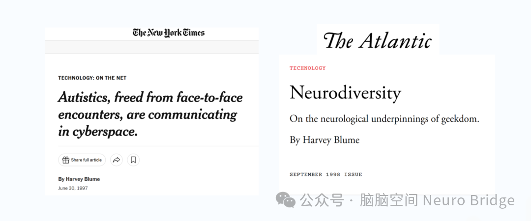 图片内容:Harvey Blume发表的文章截图